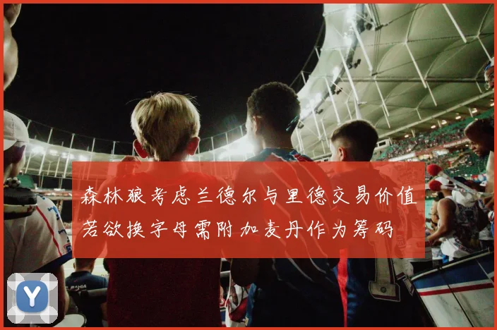 森林狼考虑兰德尔与里德交易价值若欲换字母需附加麦丹作为筹码