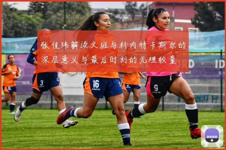 张佳玮解读文班与科内特卡斯尔的深层意义与最后时刻的无理较量