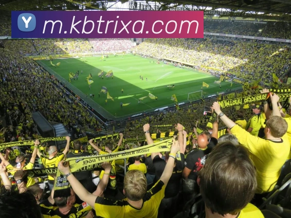 App Interface Preview