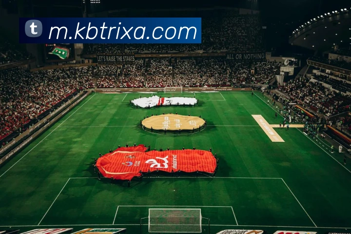 KB体育APP 封面图